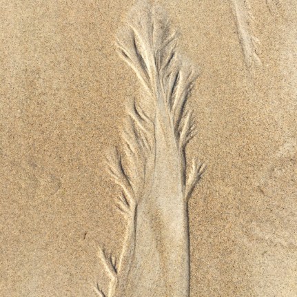 eeebd4ff-0855-4c02-8ede-71d600244868